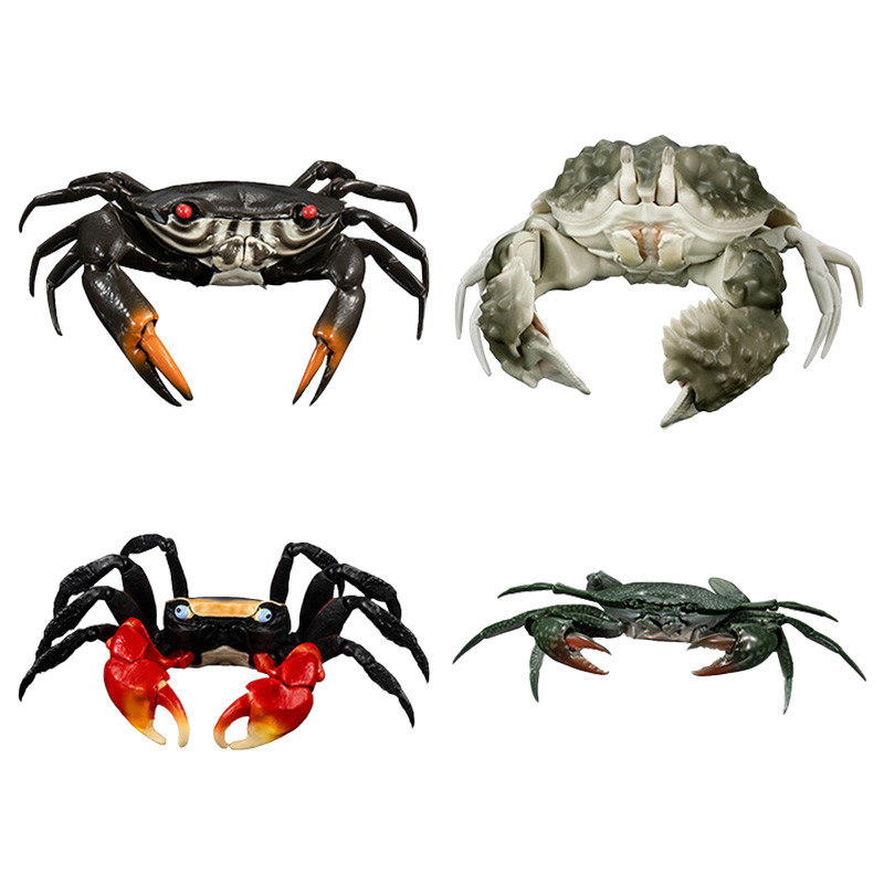 Bandai Gashapon Biological Big Illustrated Book Crab 3 Bread Crab Sea Crab Group Fan Prab Simulation