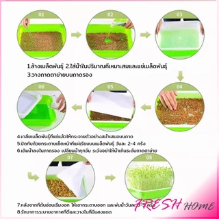 Fresh กล่องเพาะถั่วงอก ถาดเพาะต้นอ่อน ไม่ต้องใช้ดิน นำกลับมาใช้ใหม่ได้ สำหรับมือใหม่ 1ชุด bean sprouts tray