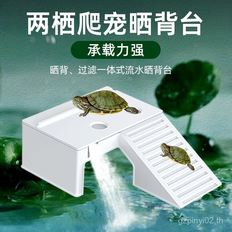 Turtle Sunning Platform Climbing Platform Special for Turtle Raising Climbing Pet Sunning Back Climb
