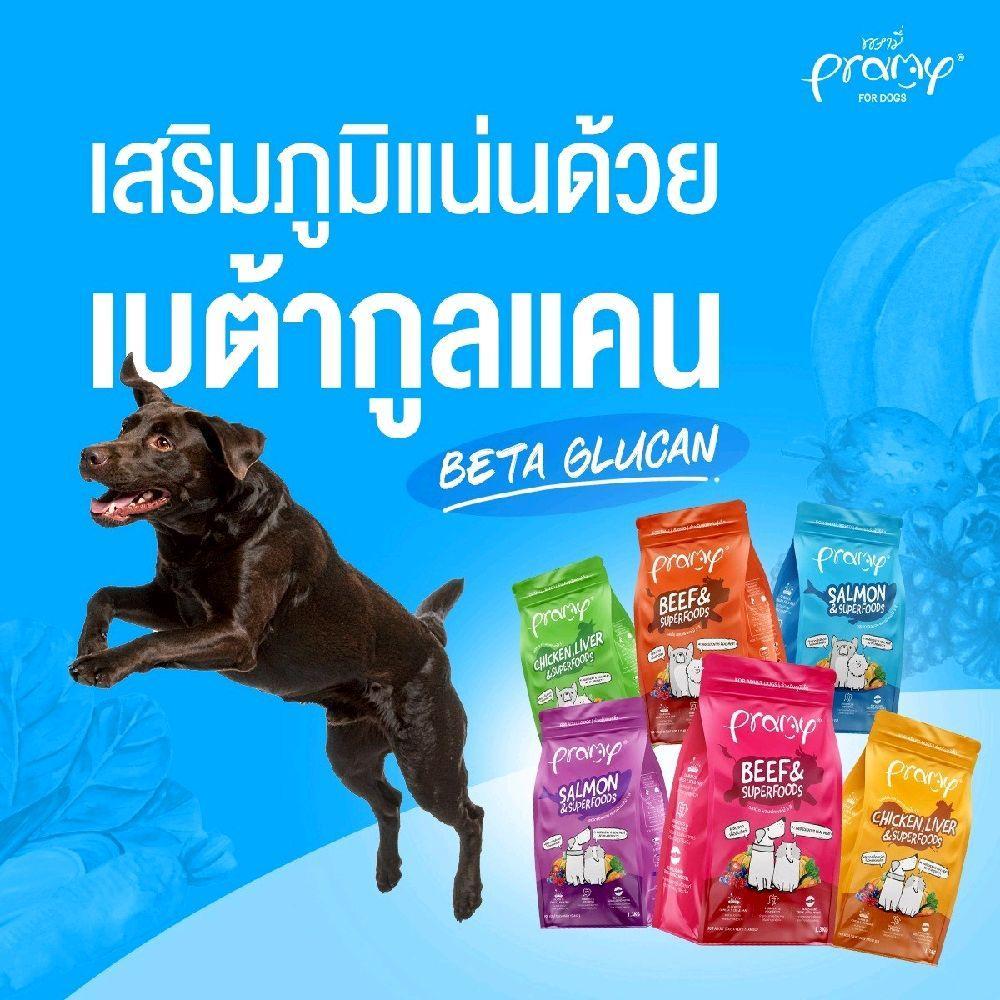 พรามี่ Pramy อาหารสุนัขเกรดพรีเมี่ยมทั้งสุนัข พันธุ์เล็กและพันธุ์ใหญ่ ขนาด 1-1.3 kg - รูปที่ 3