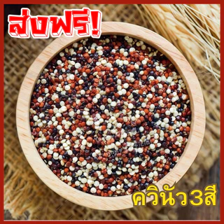 W จัดส่งฟรี ควินัว 3สี ควินัว3สี เมล็ดควินัว ควินัว คีนัว เม็ดควินัว ควินัวดำ ควินัวเเดง เมล็ดควินัว 3 สี Quinoa