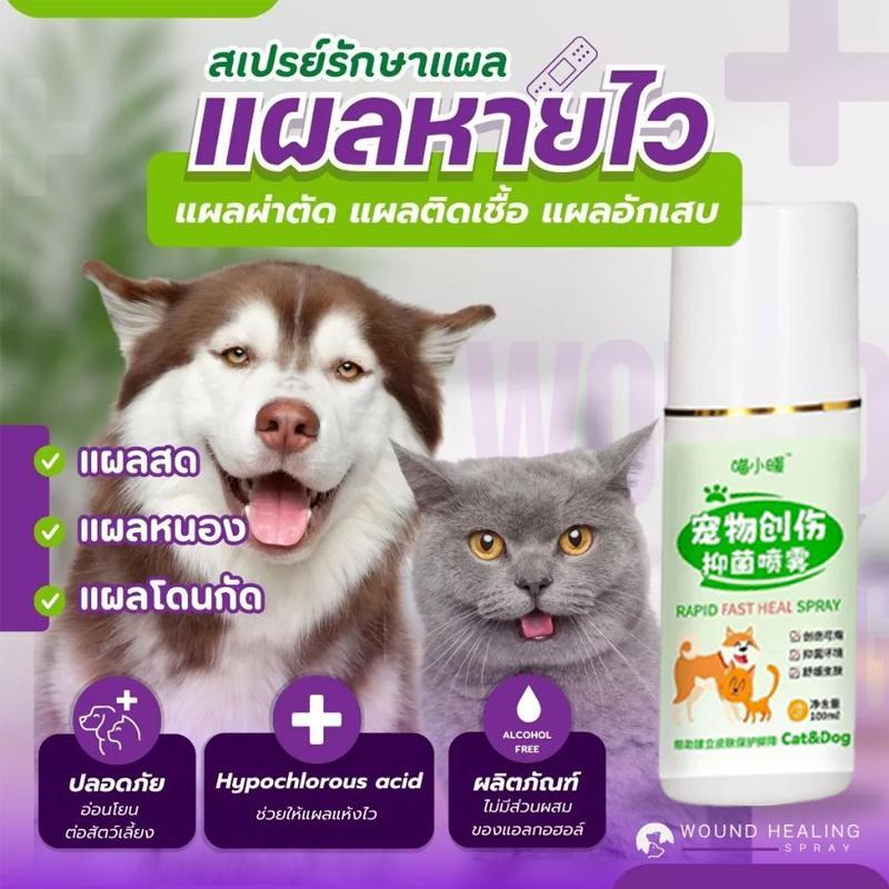 Nexcare สเปรย์พ่นแผ ลแห้งไว สุนัข/แมว สมานเร็ว สัตว์เลี้ยง