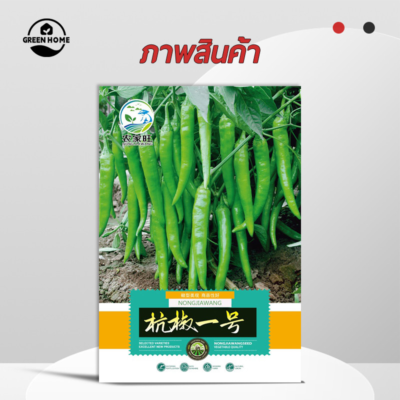 200เมล็ด เมล็ดพันธุ์พริกยาวโจลอง เมล็ดพริกยาว รูปที่ 6