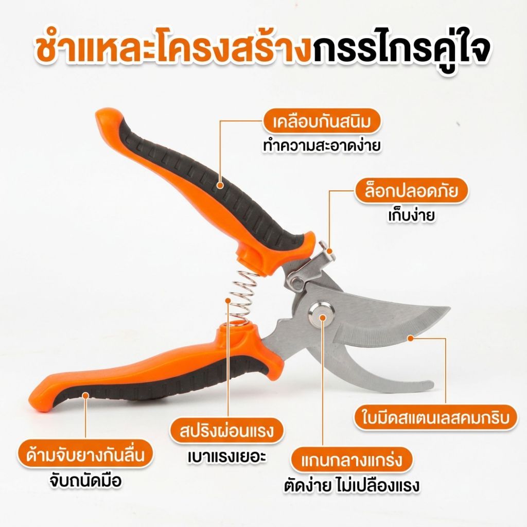 กรรไกรตัดแต่งกิ่ง4สี คมกริบ ด้ามกันลื่น มีล็อคเซฟตี้ ปลอดภัยสุด - รูปที่ 5
