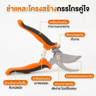 กรรไกรตัดแต่งกิ่ง4สี คมกริบ ด้ามกันลื่น มีล็อคเซฟตี้ ปลอดภัยสุด