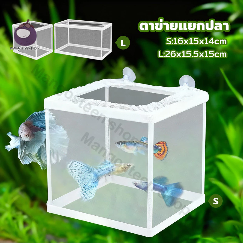 กล่องแยกปลา กล่องแยกลูกปลา แบบตาข่าย สำหรับตู้ปลา