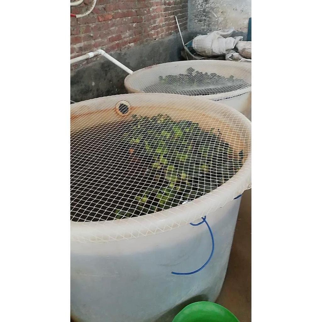 สี่เหลี่ยมรอบถังพลาสติก ป้องกันปลากระโดดหนี ปลอดภัยสำหรับปลา พร้อมจัดส่งฟรี ZJ06