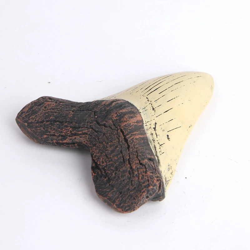 Shark ตุ๊กตาเรซิ่น Marine Fossil ตัวอย่างหัตถกรรมรูปปั้นชีวภาพวิทยาศาสตร์สอนเครื่องมือเครื่องประดับ 