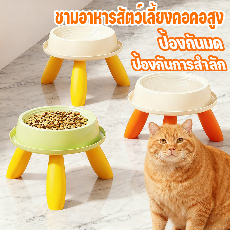 🐱ชามแมวสูงป้องกันมด 2 ใน 1 (กิน+ดื่ม) | คุ้มคอ ไม่ล้มง่ายใหญ่ | ป้องกันน้ำรั่ว ใช้งานสะดวก