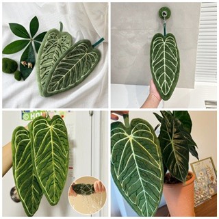 าเช็ดมือสีเขียว ขนสัตว์ค้างคาว สำหรับใช้ในห้องน้ำ ครัว และบ้…