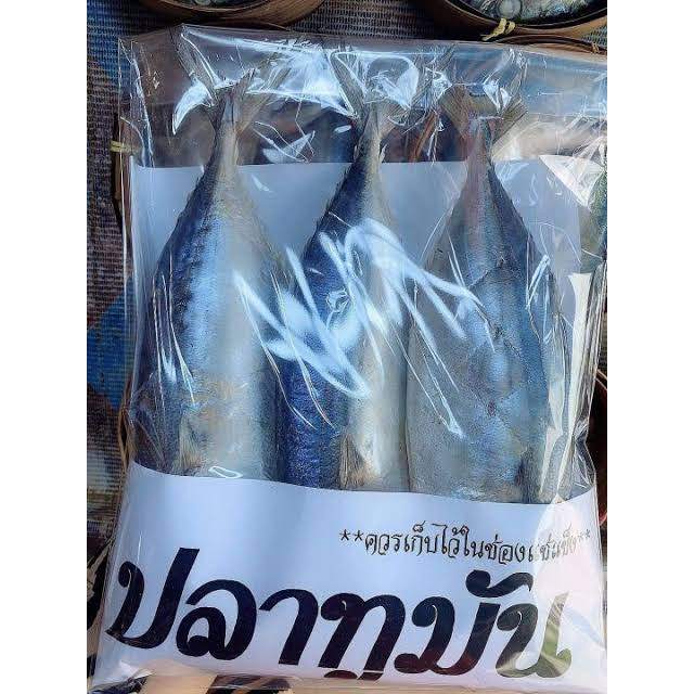 สดจากฟาร์ม ปลาทูมัน ปลาทูหอม ส่งตรงจากเเม่กลอง 1เเพ็ค 3ตัว ราคาส่ง ราคาถูกที่สุด