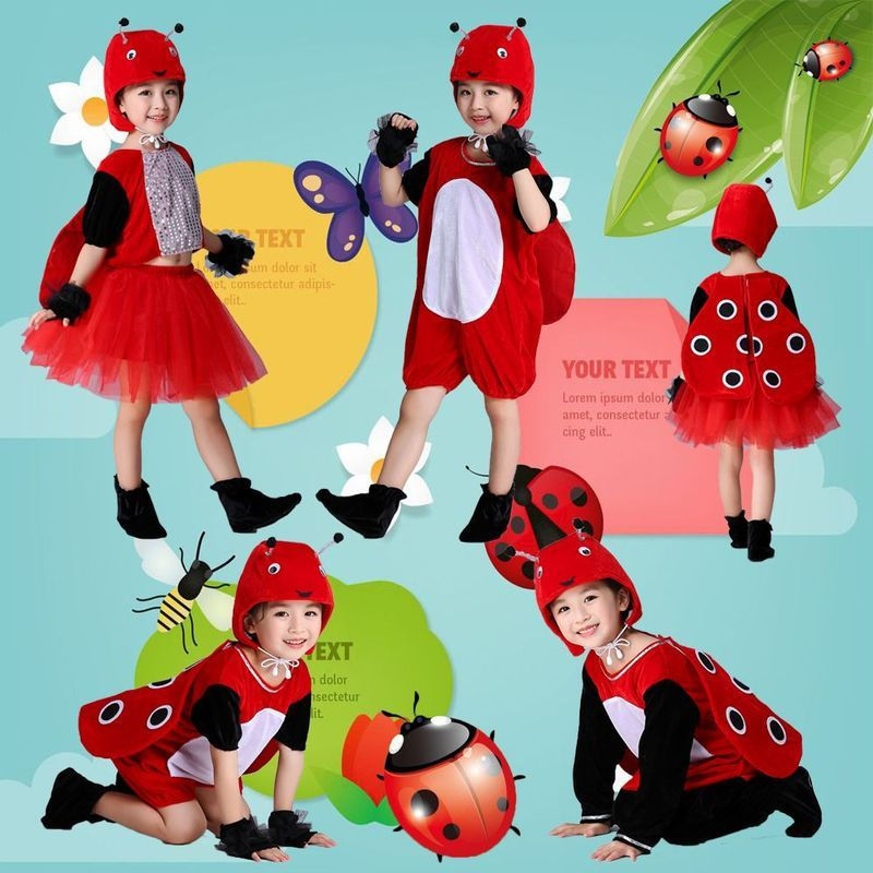 เครื่องแต่งกายอนุบาลแบบเจ๋งๆ Ladybug, Bee, Ant, Firefly รหัส T1205