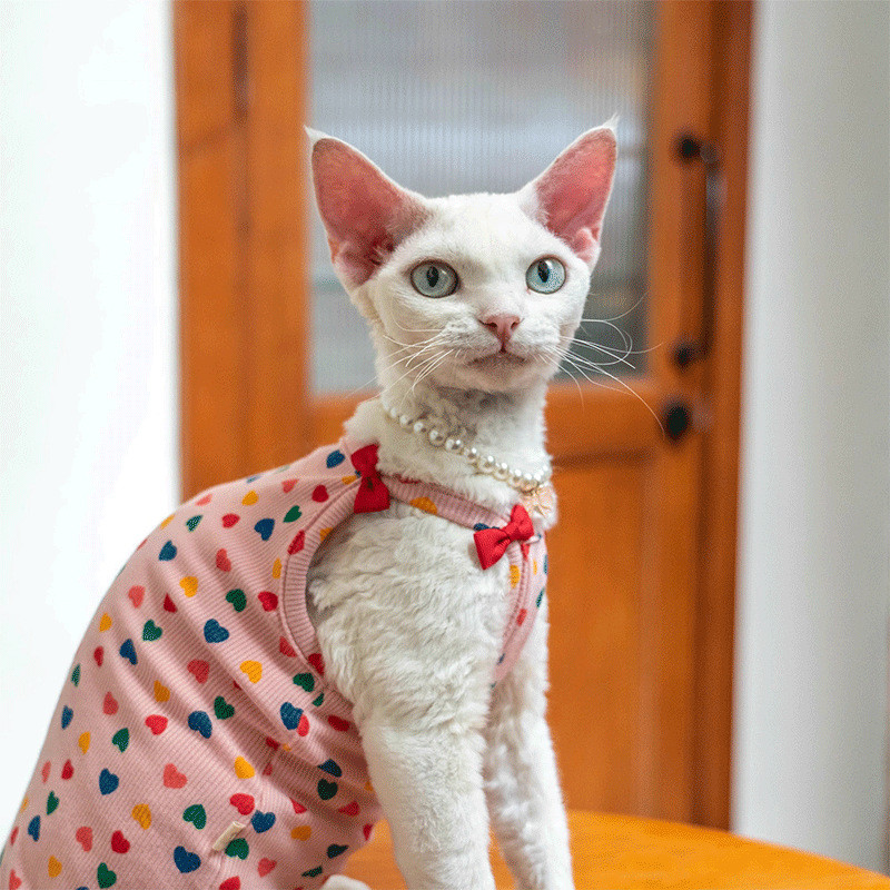 เสื้อผ้าแมว Devon, แมวไม่มีขน, เสื้อกั๊กโบว์ป้องกันหน้าท้องยืด Sphynx suspender Rib, เสื้อแขนสั้นแมวสัตว์เลี้ยง
