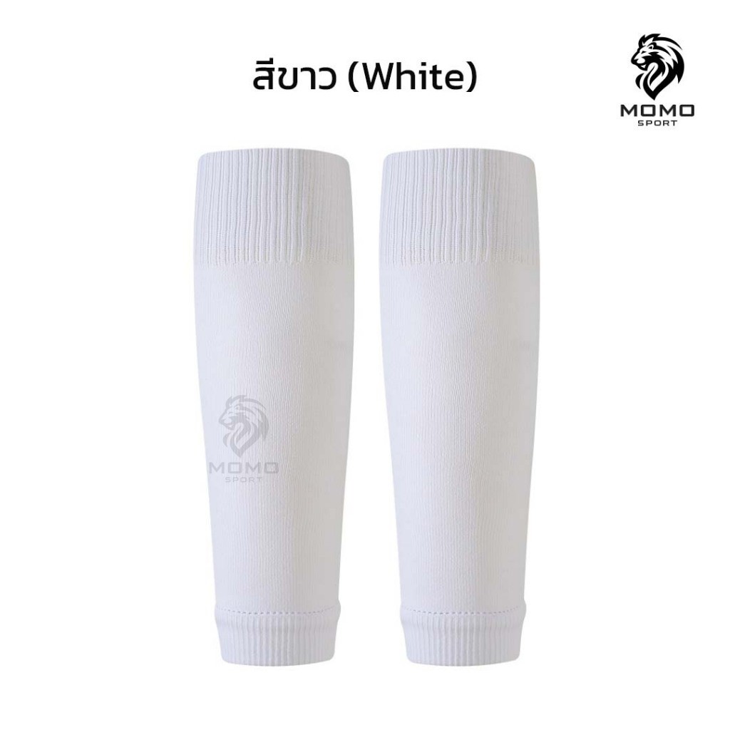 รูปภาพ 5