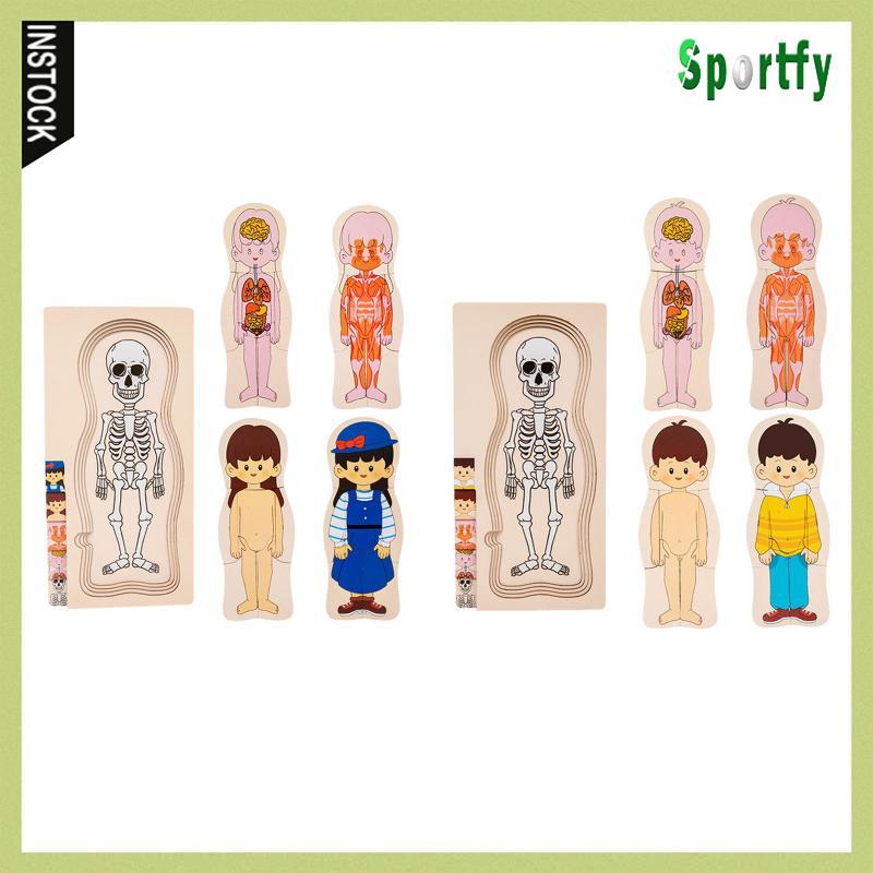 [lzdxwcke1] Human Body Puzzle, Playset with Human Body Skeleton Toy, ของเล่นไม้ปริศนา,