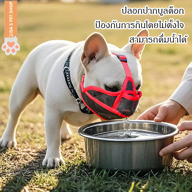 ✨ หนังคุณภาพสูง ตะกร้อปากสุนัข 🐶 สำหรับหน้าสั้น ป้องกันกัด เห่า กินของแปลก 💨 ระบายอากาศดี สำหรับบูลด็อก ฝรั่งเศส
