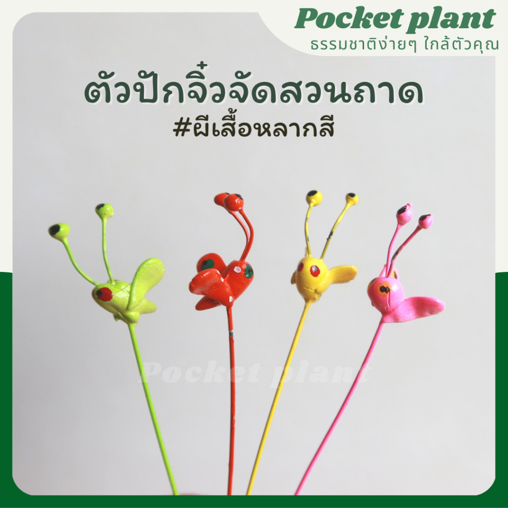 มุมมอง 3