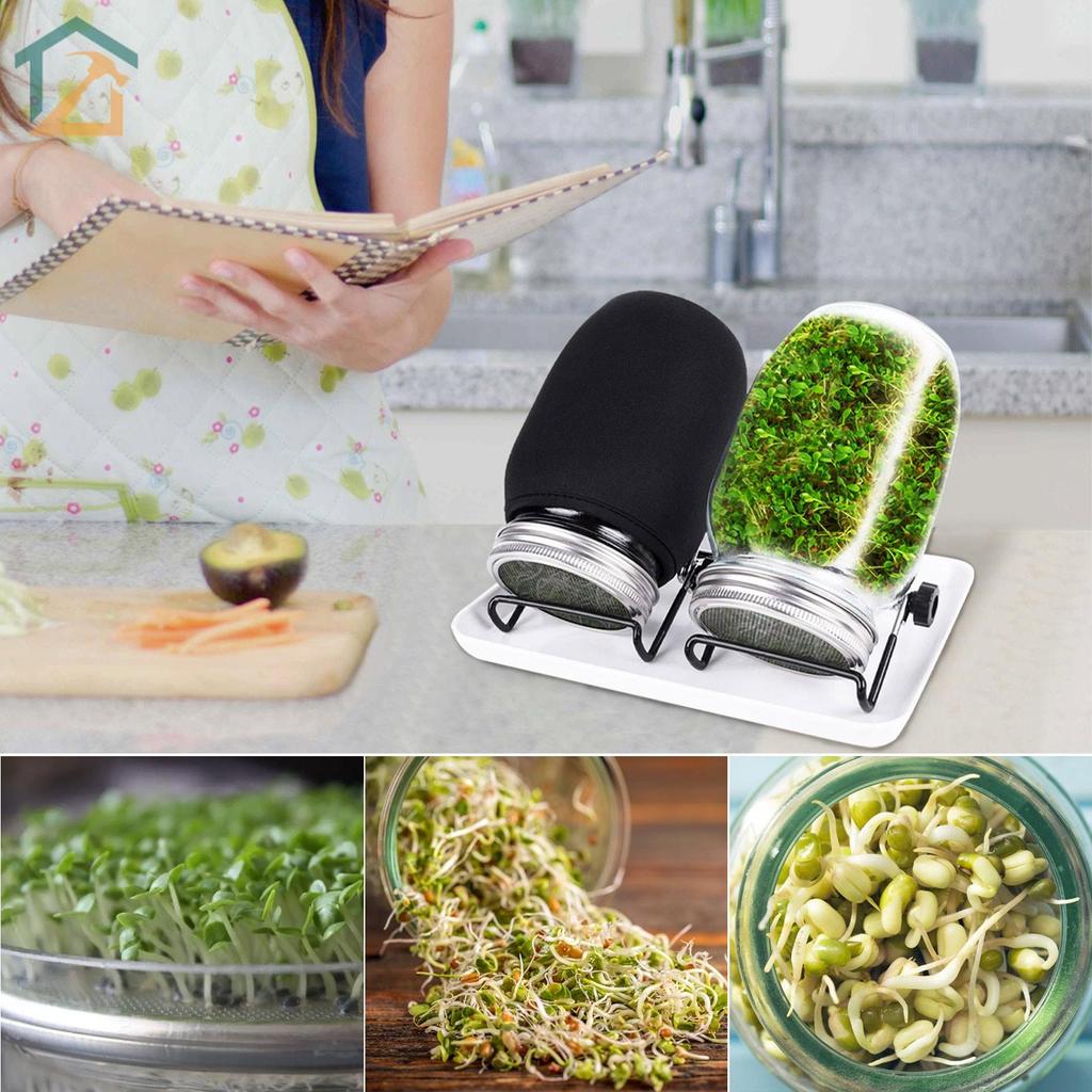 Seed Sprouting Jar Kit 2 ปากกว้าง Mason Jars Bean Sprouting Kit หน้าจอสแตนเลสฝาปิด Sprout ขาตั้งแรเงาผ้าถาด SHOPCYC1014