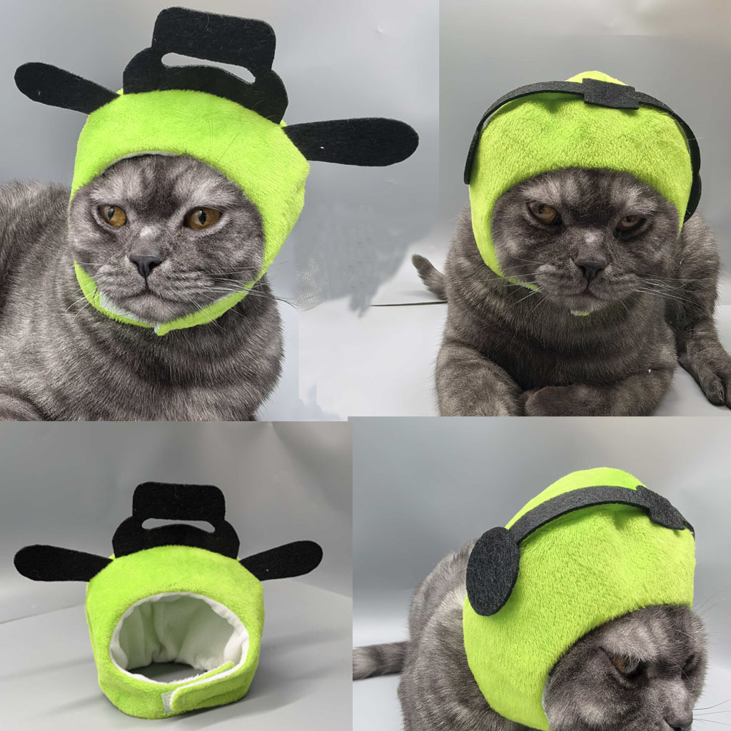 ,~热播種米绿豆物宠物猫咪保湿可爱狗用品财神器帽子แมวอุปกรณ์สุนัข HitShake Hakimi Mung Bean Pet Cat Doggjiuw