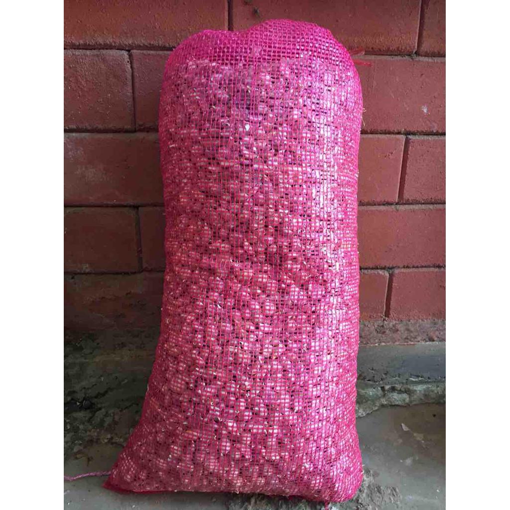 กระเทียมไทยแกะกลีบเบอร์รวม 10 กก (ขายส่ง) ราคา ถูก / ส่งราคา ถูก