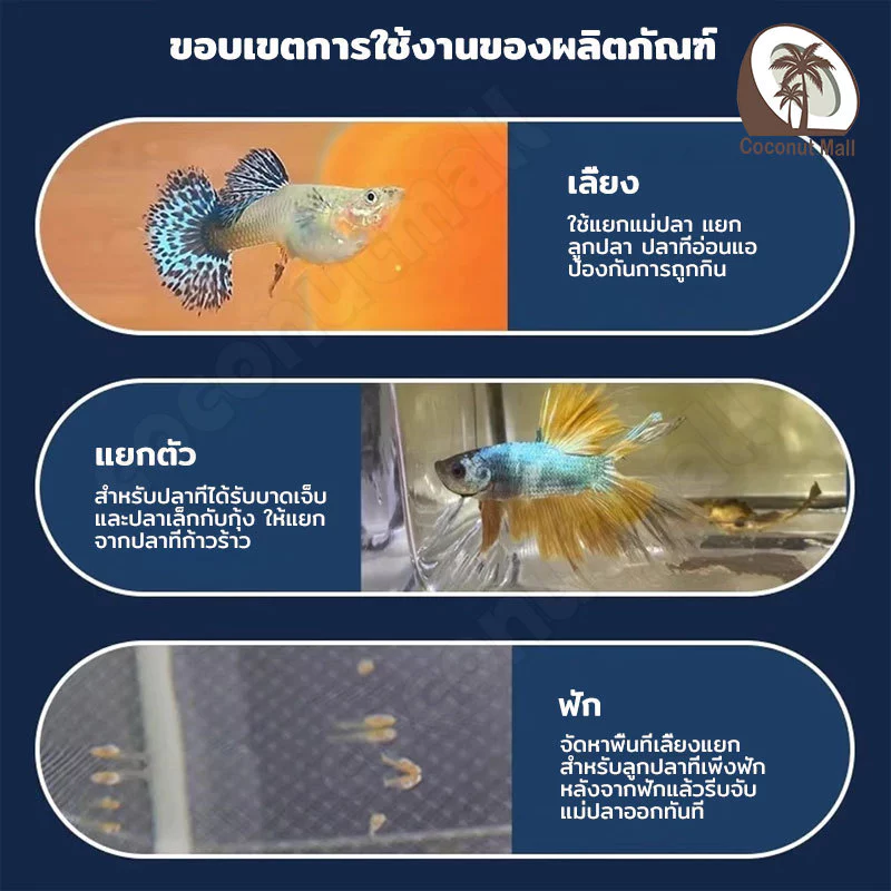 กล่องพักปลา ตาข่ายแยกปลา กล่องแยกเลี้ยงปลา ฟักไข่ปลา แยกลูกกุ้ง แยกปลาป่วย thumbnail 10