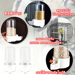 หลอดน้ำนก ที่ให้อาหารนก ที่ให้น้ำนก ป้อนอาหารนก นกแก้ว หงษ์หยก ฟอพัส เลิฟเบิร์ด อุปกรณ์เลี้ยงนก