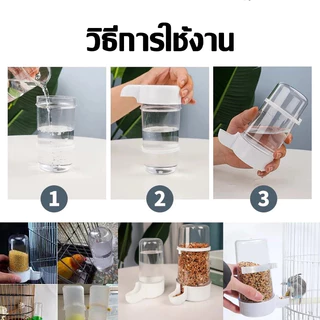 หลอดน้ำนก ที่ให้อาหารนก ที่ให้น้ำนก ป้อนอาหารนก นกแก้ว หงษ์หยก ฟอพัส เลิฟเบิร์ด อุปกรณ์เลี้ยงนก