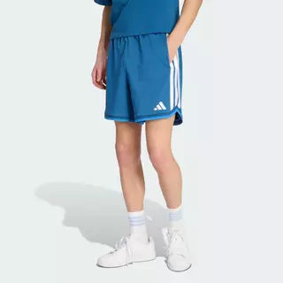 adidas ไลฟ์สไตล์ กางเกงขาสั้นผ้าตาข่าย STADIUM ผู้ชาย สีน้ำเงิน JZ6855