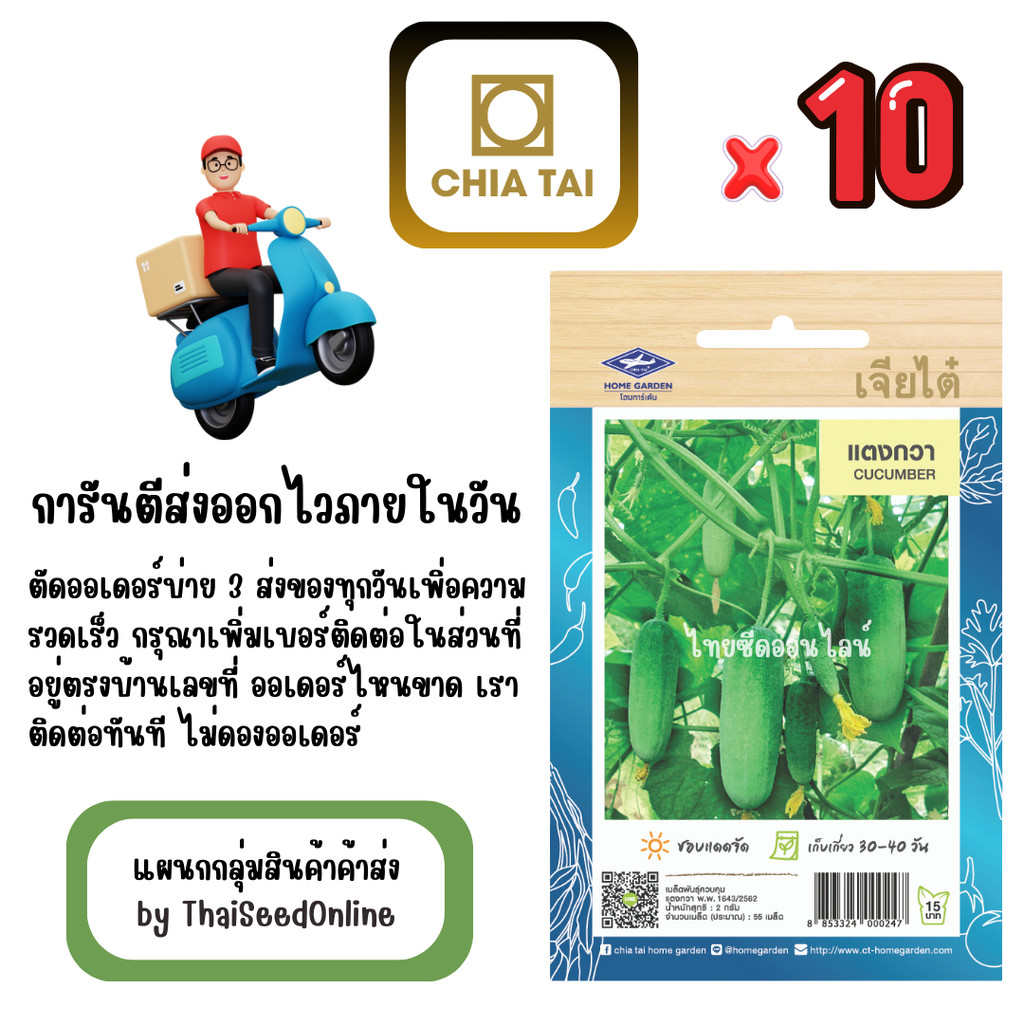 CTOP x 10 เมล็ดผักซองเจียไต๋ แตงกวา สินค้ายกแพ็ค