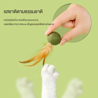 😻 ลูกบอลขนนกแมว Catnip ของเล่นแมว🐾คลายเครียด ขัดฟัน เคี้ยวสนุก คลายเครียด และขัดฟันในเวลาเดียวกัน