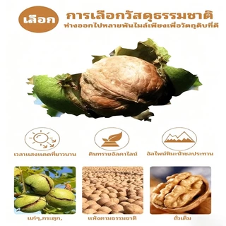 วอลนัท 400 กรัมต่อถุง เปลือกทั้งอบกรอบและหวาน เติมพลังสมอง รสชาติกรอบและบ๊อง ของว่างอร่อยและมีประโยชน์