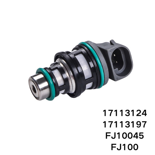 Car Fuel Injector 17113124 17113197 FJ10045 FJ100