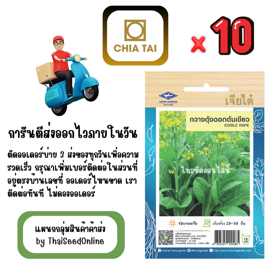 CTOP x 10 เมล็ดผักซองเจียไต๋ กวางตุ้งดอกต้นเขียว สินค้ายกแพ็ค ราคา ถูกที่สุด ดีลบีเคเค