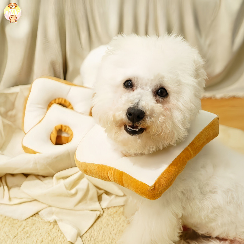 【พร้อมส่ง】🍗Pet Elizabeth Collar ปลอกคอกันเลีย ปลอกคอสัตว์เลี้ยง คอลล่าแมว คอลล่าสุนัข COD - รูปที่ 6