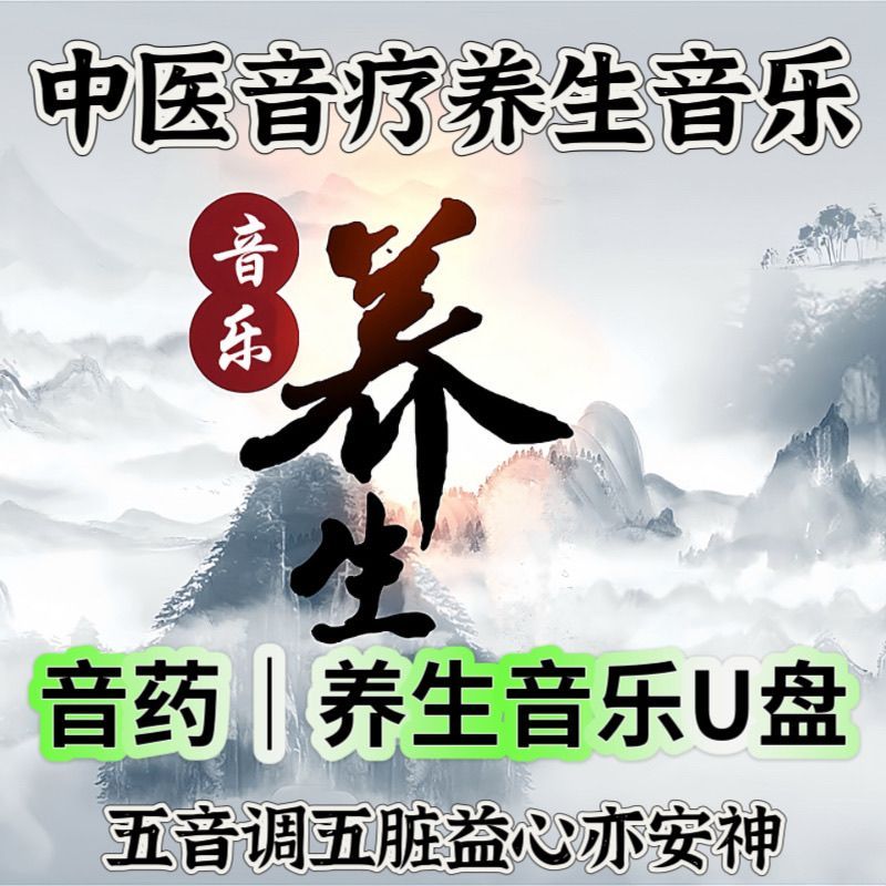 Pipa MP3-ii06 เพลงแสงคลาสสิก Soothing Mood ยาจีนเปียโนโบราณ u Disk คุณภาพสูงขลุ่ย Healthy Five-Tone 