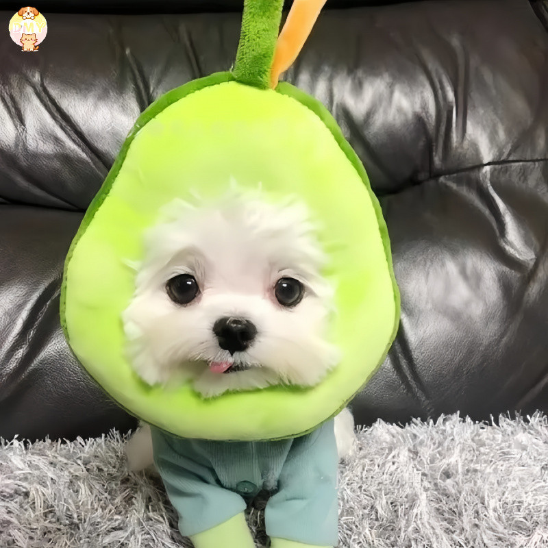 【พร้อมส่ง】🍗Pet Elizabeth Collar ปลอกคอกันเลีย ปลอกคอสัตว์เลี้ยง คอลล่าแมว คอลล่าสุนัข COD - รูปที่ 3