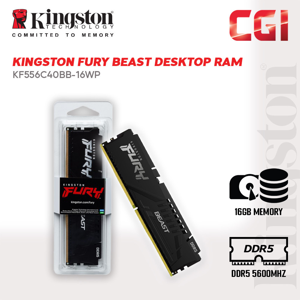 Kingston 16GB Fury Beast DDR5-5600Mhz หน่วยความจํา DIMM RAM - KF556C40BB-16WP