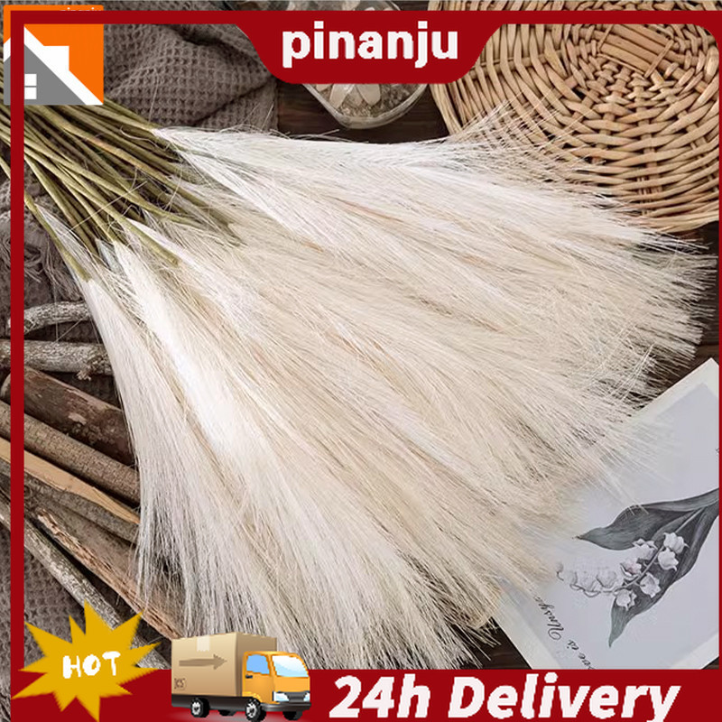 5pcs ประดิษฐ์ Pampas Grass Nordic ปลอม Reed หญ้าพืชงานแต่งงานตกแต่งบ้านของขวัญวันสตรี