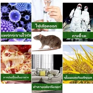 รุ่นหนาขึ้นอัพเกรด2024 MSW แบบสำเร็จรูป กาวดักหนู ซื้อ1แถม10 อุปกรณ์กำจัดหนูมืออาชีพยี่ห้อเก่ากว่า 30 ปี กาวดักหนูถาด