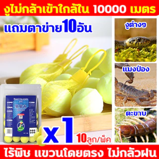 ไม่มีงูในรัศมี 10000ไมล์ ผงไล่งู ยาไล่งู ไล่งู ก้อนไล่งู 1 ถุง 10 เม็ด ยาป้องกันงู ใช้วางป้องกันไม่ให้เข้าใกล้