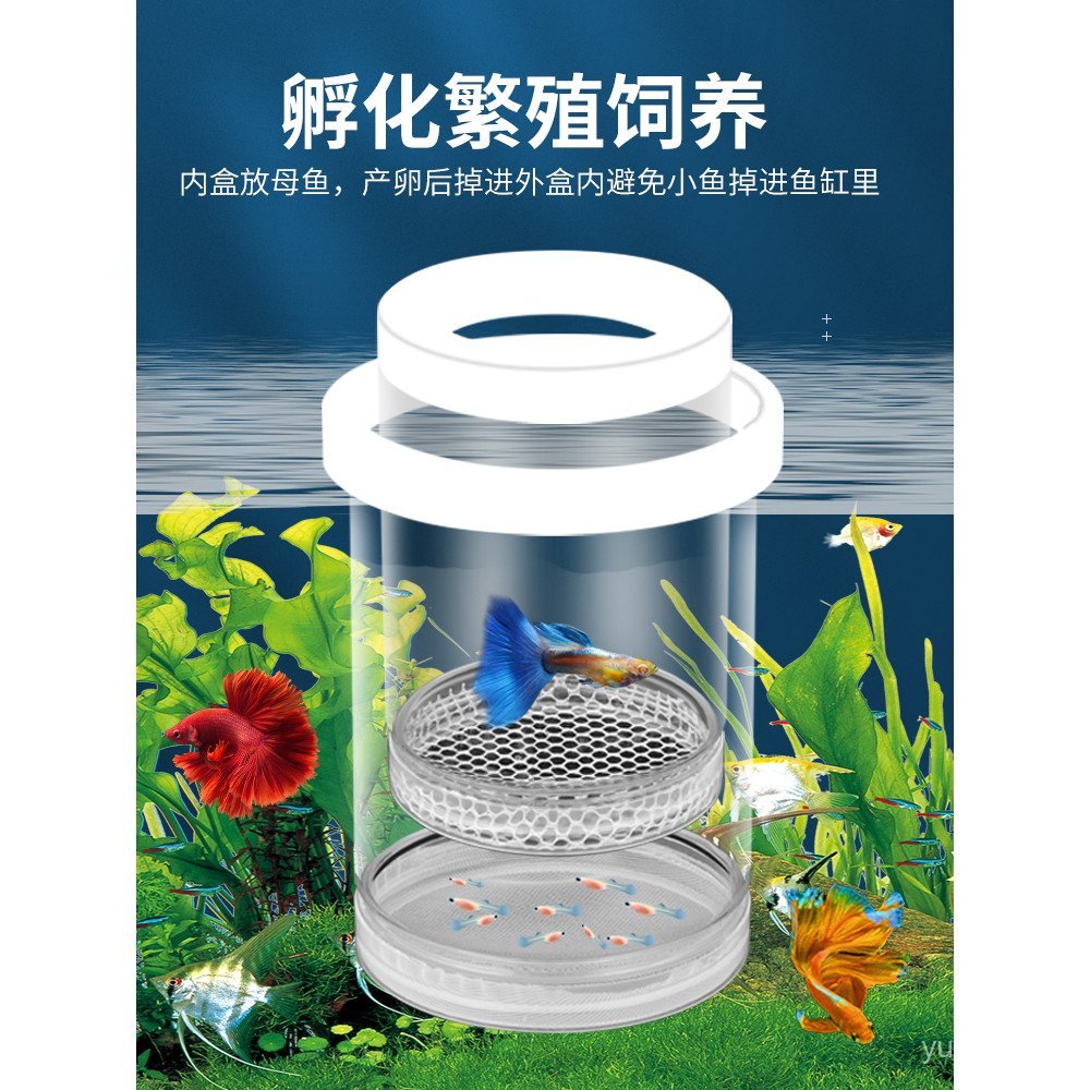 กล่องฟัก Guppy Fish Tank Breeding Isolation Box Small Fish Roe Fry Zebra Fish Betta Fish Tank Aquari