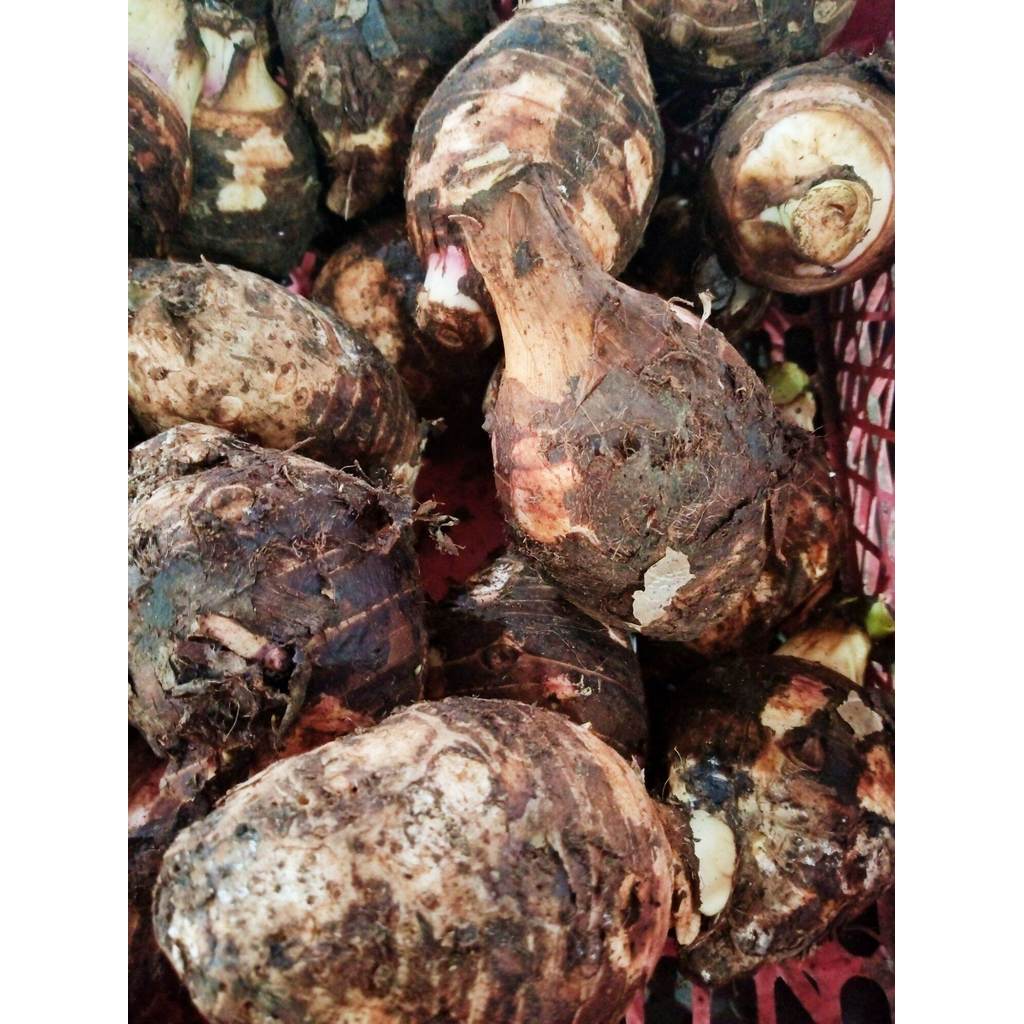 เผือกสด 1 กิโล / Fresh Taro 1 Kilo