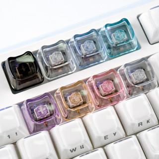 MAIMOOO หัวแมว Keycap MAO Profile PC ปุ่มกดโปร่งแสง DIY สร้า…