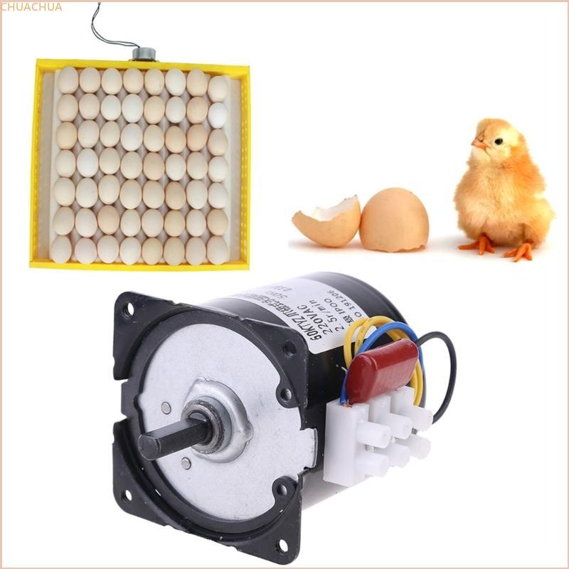 Chu 220V Automatic Incubator Eggs Hatcher Engine Reversible Geared Motor 2 5r min