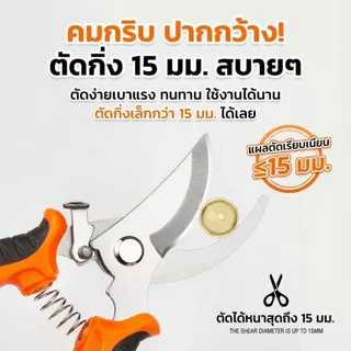 กรรไกรตัดแต่งกิ่งงานสวนคุณภาพสูง ตัดนิ่มลื่น ไม่กินแรง ใช้งานยาวนาน คุ้มค่า