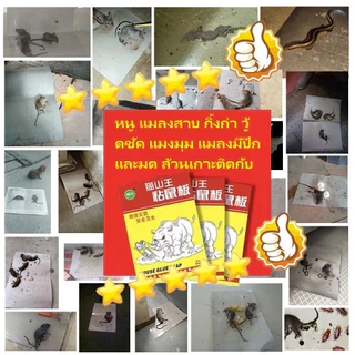 รุ่นหนาขึ้นอัพเกรด2024 MSW แบบสำเร็จรูป กาวดักหนู ซื้อ1แถม10 อุปกรณ์กำจัดหนูมืออาชีพยี่ห้อเก่ากว่า 30 ปี กาวดักหนูถาด