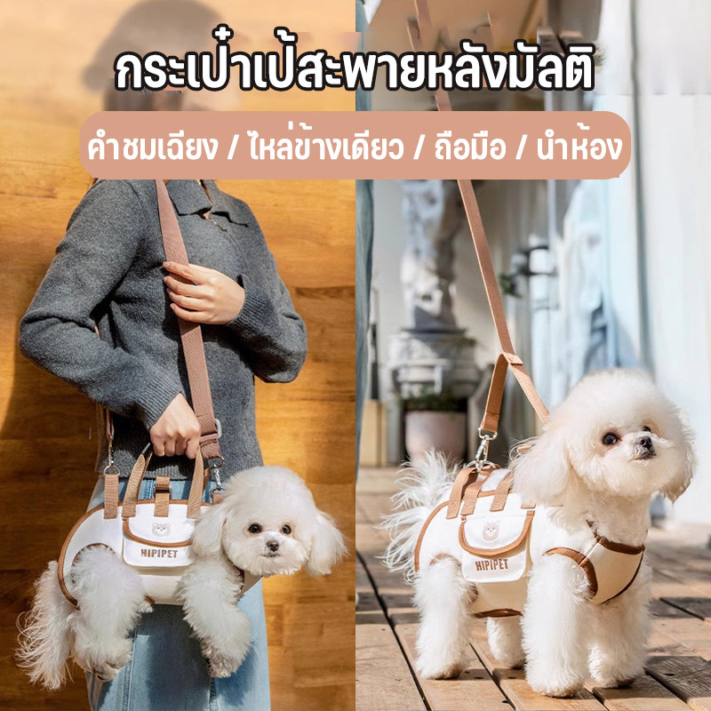 กระเป๋าสัตว์เลี้ยง 3in1 กระเป๋าใส่สัตว์เลี้ยง สายจูงสัตว์เลี้ยง กระเป๋าเป้สำหรับกิจกรรมนอกบ้าน ตั้งแคมป์ ใส่น้องหมา