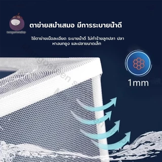 กล่องแยกปลา กล่องแยกลูกปลา แบบตาข่าย สำหรับตู้ปลา เพาะพันธุ์ ฟักไข่ปลา จัดการเลี้ยงปลา