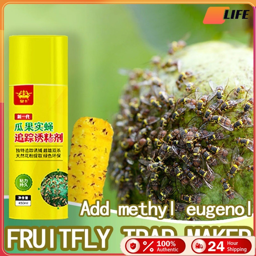 เก็บปลายทาง！450ML.สเปย์สารล่อแมลงวันทอง ความเหนียวดี  กาวดักแมลง แบบยาฉีด สูตรเข้มข้น