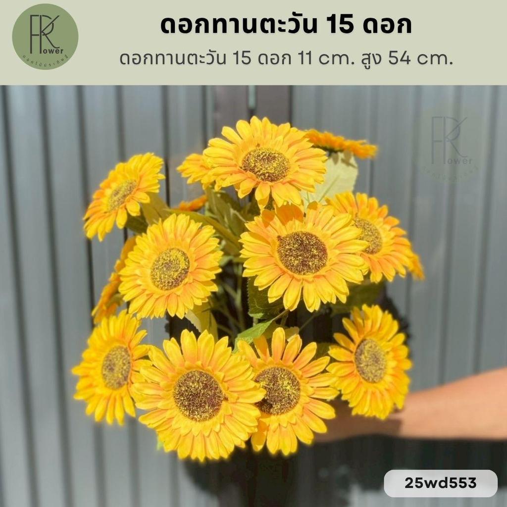 ดอกทานตะวัน 15 ดอก ขนาดหน้าดอก 11 cm. ต้นสูง 54 cm.